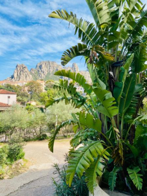 casa Strelitzia